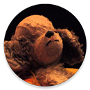 La Boîte à Antoine Daniel APK
