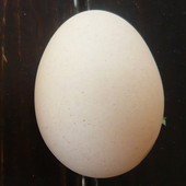 GillouEgg icon