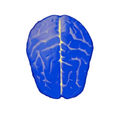 Logical test - IQ icon Logical test - IQ icon