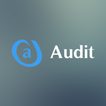 i-audit