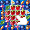 Fruits Garden Mania Blast APK