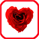 Love Phrases-APK