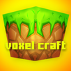 Voxel Craft : Castle Build PE APK