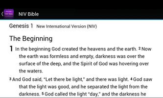 NIV Study Bible Screenshot 1