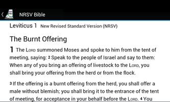 NRSV Bible screenshot 1