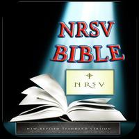 NRSV Bible capture d'écran 2