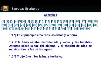 Sagradas Escrituras screenshot 1