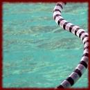 Sea Snakes wallpapers APK