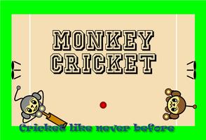 Monkey Cricket poster