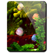 Coral Reef Aquarium HD LWP