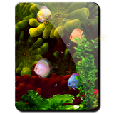 Coral Reef Aquarium HD LWP icône