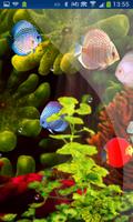 Coral Reef Aquarium HD LWP screenshot 1