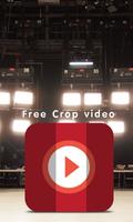 Crop vidéo gratuit Affiche