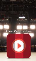 Free Crop video screenshot 2