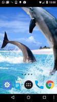 free dolphin live wallpaper اسکرین شاٹ 1