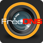 ikon DDNS FREE IP CAMERA DVR/NVR