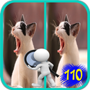 Find the Difference Picture Puzzle Games APK