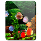 Fish Aquarium HD LWP Discus أيقونة