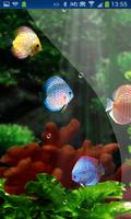 Fish Aquarium HD LWP Discus الملصق