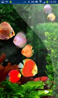 Fish Aquarium HD LWP Discus Ekran Görüntüsü 1