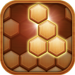 Hexa Block Puzzle Game