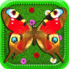 Butterfly Farm-icoon