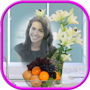 jasmin fleurs photo APK