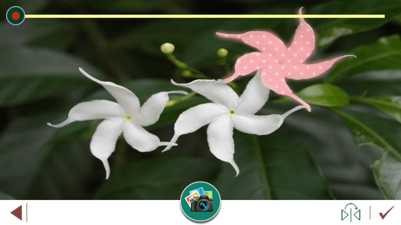 Android 用の ジャスミンの花の写真 Apk をダウンロード