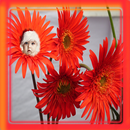 daisy flowers photo frame APK