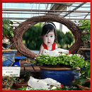 Garden Photo Frame APK