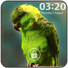 Parrot Pattern Lock Screen icône