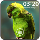 Parrot Pattern Lock Screen
