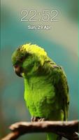 Parrot Pattern Lock Screen Affiche