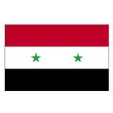 Syria News icône