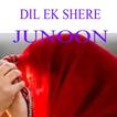 Dil Ik Shehar e Junoon