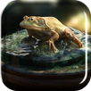 Frog Amazing Graphics LiveWP APK