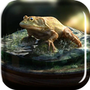 Frog Amazing Graphics LiveWP APK