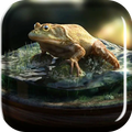 Frog Amazing Graphics LiveWP