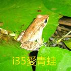 i35愛青蛙 icon