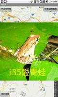 i35愛青蛙 poster