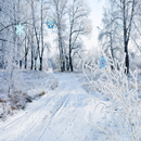 Snowfall HD Live Wallpaper Pro APK