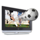 Futbol en Vivo TV icône