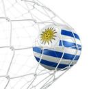 Futbol Uruguayo APK