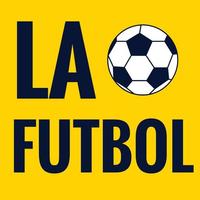 Futbol Profesional en LA - USA 截圖 3