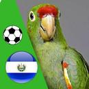 Santa Tecla Noticias - Futbol Perico El Salvador-APK