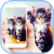 Fuzzy kitten cute pet theme