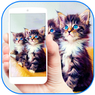 Fuzzy kitten cute pet theme icône
