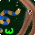 Guide Wormax io