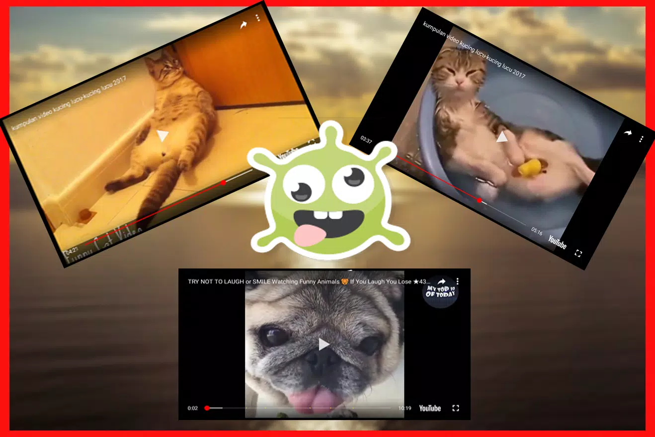 Download do APK de Vídeos engraçados de animais para Android