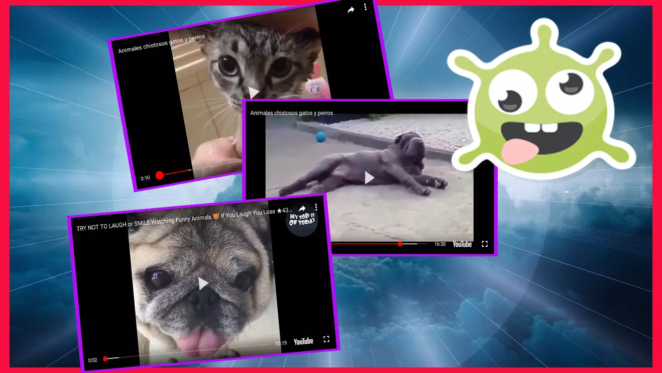 Download do APK de Vídeos engraçados de animais para Android
